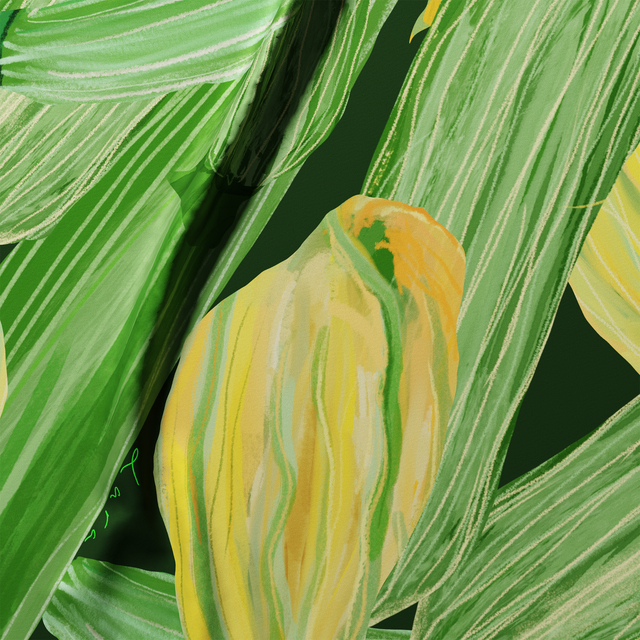 Zucchine